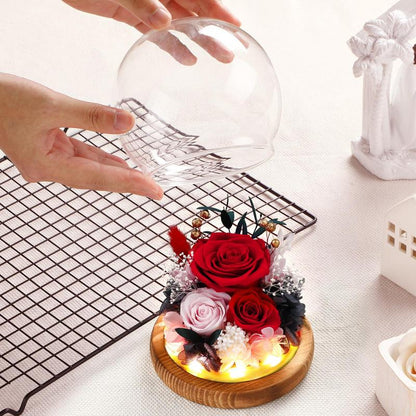 Preserved Roses in Glass Dome with LED Lights – Forever Fresh