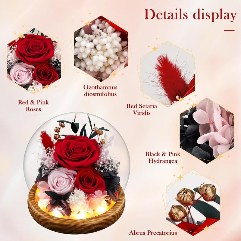Preserved Roses in Glass Dome with LED Lights – Forever Fresh