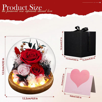 Preserved Roses in Glass Dome with LED Lights – Forever Fresh