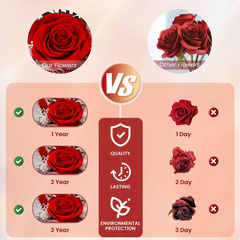 Preserved Roses in Glass Dome with LED Lights – Forever Fresh